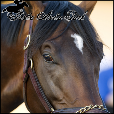 //santa-anita.gportal.hu/portal/santa-anita/image/gallery/1263734277_78.png