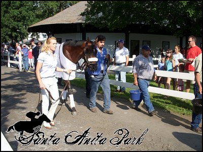 //santa-anita.gportal.hu/portal/santa-anita/image/gallery/1263734307_34.png