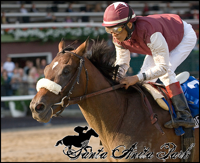 //santa-anita.gportal.hu/portal/santa-anita/image/gallery/1263734359_80.png