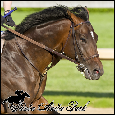 //santa-anita.gportal.hu/portal/santa-anita/image/gallery/1263734513_88.png