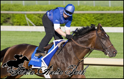 //santa-anita.gportal.hu/portal/santa-anita/image/gallery/1263734725_13.png