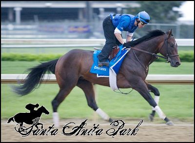 //santa-anita.gportal.hu/portal/santa-anita/image/gallery/1263734781_57.png