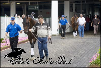 //santa-anita.gportal.hu/portal/santa-anita/image/gallery/1263734826_12.png