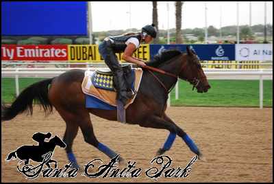 //santa-anita.gportal.hu/portal/santa-anita/image/gallery/1263734907_03.png