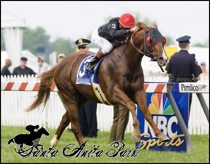 //santa-anita.gportal.hu/portal/santa-anita/image/gallery/1277842489_41.png