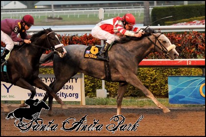 //santa-anita.gportal.hu/portal/santa-anita/image/gallery/1277886637_11.jpg