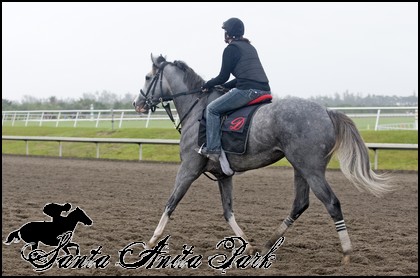 //santa-anita.gportal.hu/portal/santa-anita/image/gallery/1277886643_55.jpg