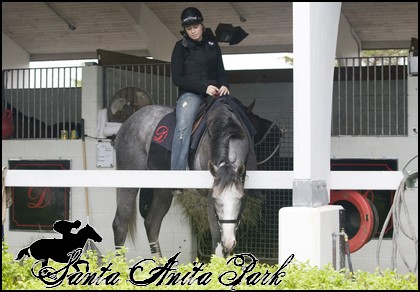 //santa-anita.gportal.hu/portal/santa-anita/image/gallery/1277886679_53.jpg