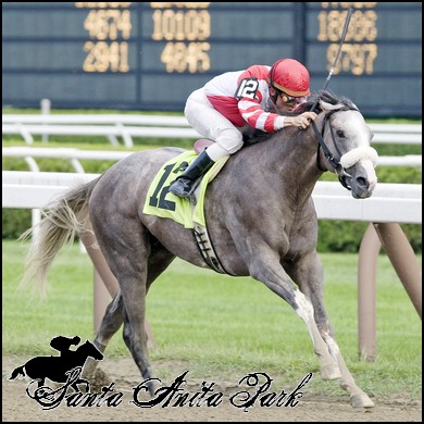 //santa-anita.gportal.hu/portal/santa-anita/image/gallery/1277886708_95.jpg