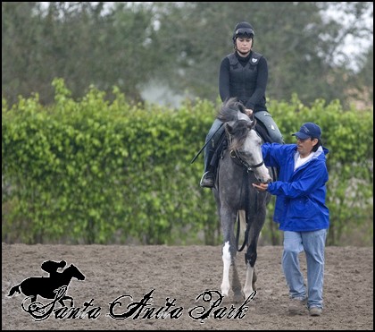 //santa-anita.gportal.hu/portal/santa-anita/image/gallery/1277886717_37.jpg