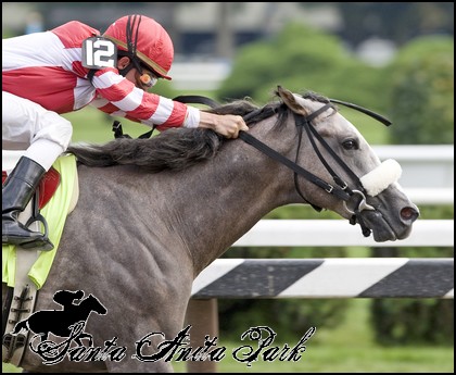 //santa-anita.gportal.hu/portal/santa-anita/image/gallery/1277886724_24.jpg