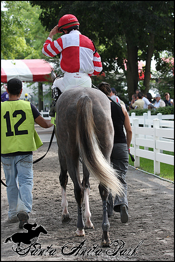 //santa-anita.gportal.hu/portal/santa-anita/image/gallery/1277886865_01.png