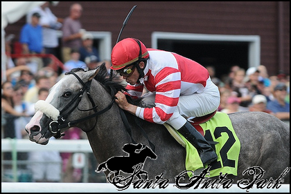 //santa-anita.gportal.hu/portal/santa-anita/image/gallery/1277886891_19.png