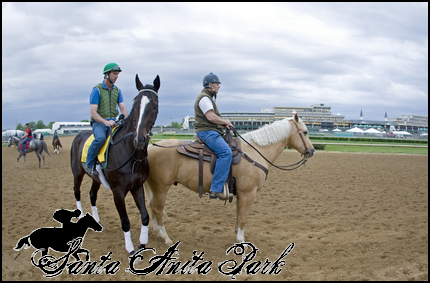 //santa-anita.gportal.hu/portal/santa-anita/image/gallery/1277894260_68.png