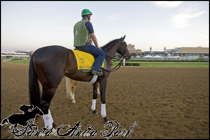 //santa-anita.gportal.hu/portal/santa-anita/image/gallery/1277894279_53.png