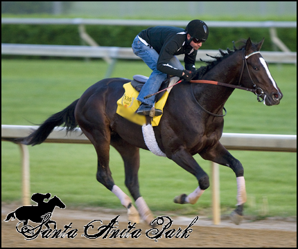 //santa-anita.gportal.hu/portal/santa-anita/image/gallery/1277894308_53.png