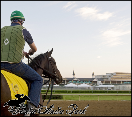 //santa-anita.gportal.hu/portal/santa-anita/image/gallery/1277894360_94.png