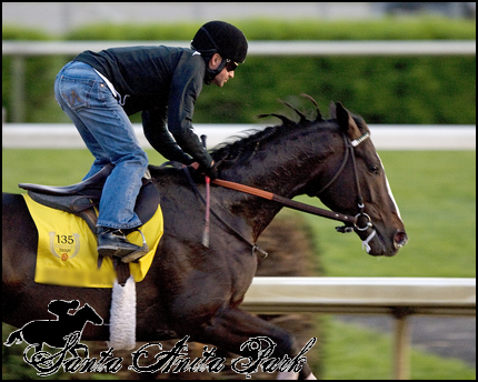 //santa-anita.gportal.hu/portal/santa-anita/image/gallery/1277894391_51.png