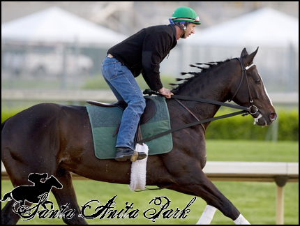 //santa-anita.gportal.hu/portal/santa-anita/image/gallery/1277894416_20.png