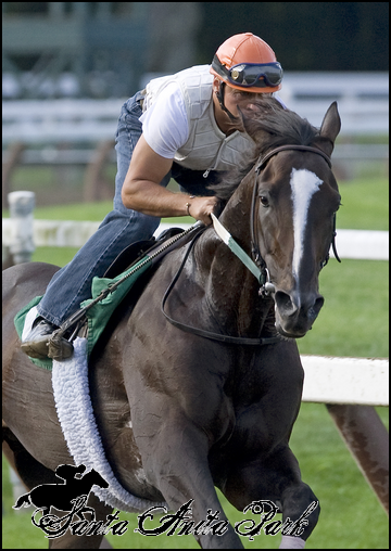 //santa-anita.gportal.hu/portal/santa-anita/image/gallery/1277895012_68.png