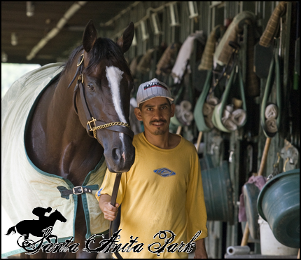 //santa-anita.gportal.hu/portal/santa-anita/image/gallery/1277895042_63.png