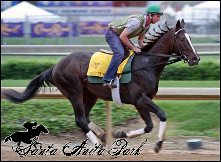 //santa-anita.gportal.hu/portal/santa-anita/image/gallery/1277895526_89.png