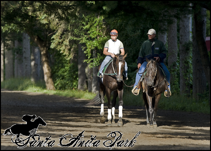 //santa-anita.gportal.hu/portal/santa-anita/image/gallery/1277895607_41.png