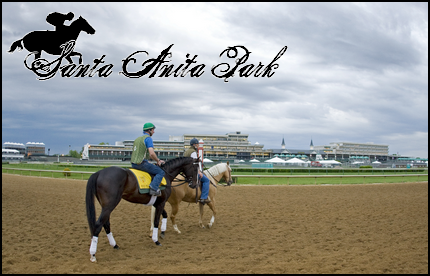 //santa-anita.gportal.hu/portal/santa-anita/image/gallery/1277895788_70.png