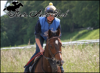 //santa-anita.gportal.hu/portal/santa-anita/image/gallery/1277926534_59.png