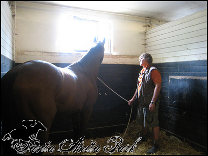 //santa-anita.gportal.hu/portal/santa-anita/image/gallery/1277926797_29.png