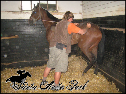 //santa-anita.gportal.hu/portal/santa-anita/image/gallery/1277926907_51.png