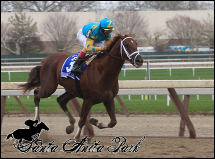 //santa-anita.gportal.hu/portal/santa-anita/image/gallery/1279017559_98.png