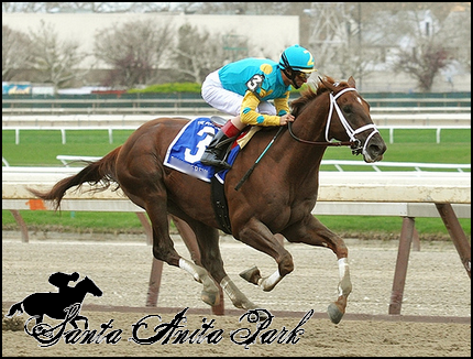 //santa-anita.gportal.hu/portal/santa-anita/image/gallery/1279017588_21.png