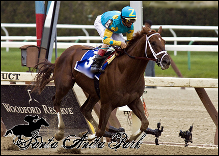 //santa-anita.gportal.hu/portal/santa-anita/image/gallery/1279017617_58.png