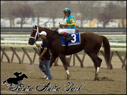 //santa-anita.gportal.hu/portal/santa-anita/image/gallery/1279017644_17.png