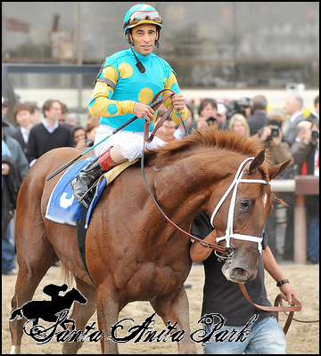 //santa-anita.gportal.hu/portal/santa-anita/image/gallery/1279017675_63.png