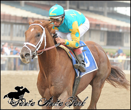 //santa-anita.gportal.hu/portal/santa-anita/image/gallery/1279017770_65.png