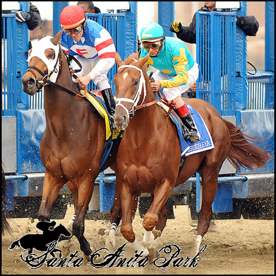 //santa-anita.gportal.hu/portal/santa-anita/image/gallery/1279017843_80.png