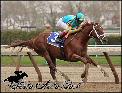 //santa-anita.gportal.hu/portal/santa-anita/image/gallery/1279017883_57.png