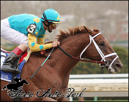 //santa-anita.gportal.hu/portal/santa-anita/image/gallery/1279017965_37.png