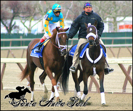 //santa-anita.gportal.hu/portal/santa-anita/image/gallery/1279018043_01.png