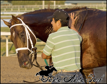 //santa-anita.gportal.hu/portal/santa-anita/image/gallery/1279019168_75.png