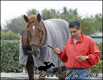 //santa-anita.gportal.hu/portal/santa-anita/image/gallery/1279019271_96.png