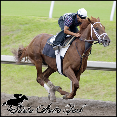 //santa-anita.gportal.hu/portal/santa-anita/image/gallery/1279019299_43.png