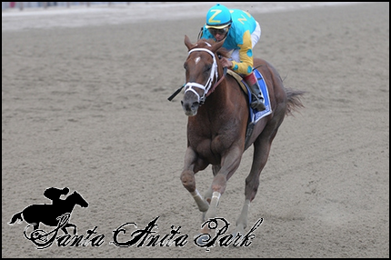 //santa-anita.gportal.hu/portal/santa-anita/image/gallery/1279019439_30.png