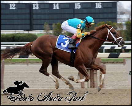 //santa-anita.gportal.hu/portal/santa-anita/image/gallery/1279019466_53.png