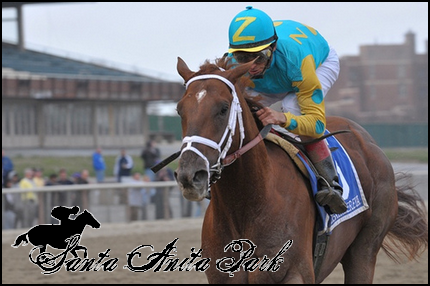 //santa-anita.gportal.hu/portal/santa-anita/image/gallery/1279019492_94.png