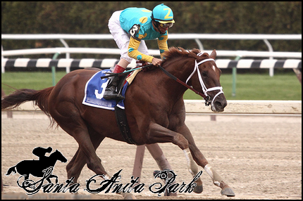 //santa-anita.gportal.hu/portal/santa-anita/image/gallery/1279019539_31.png