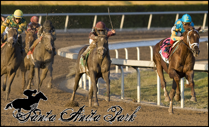 //santa-anita.gportal.hu/portal/santa-anita/image/gallery/1279022560_39.png