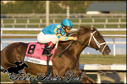 //santa-anita.gportal.hu/portal/santa-anita/image/gallery/1279022585_75.png